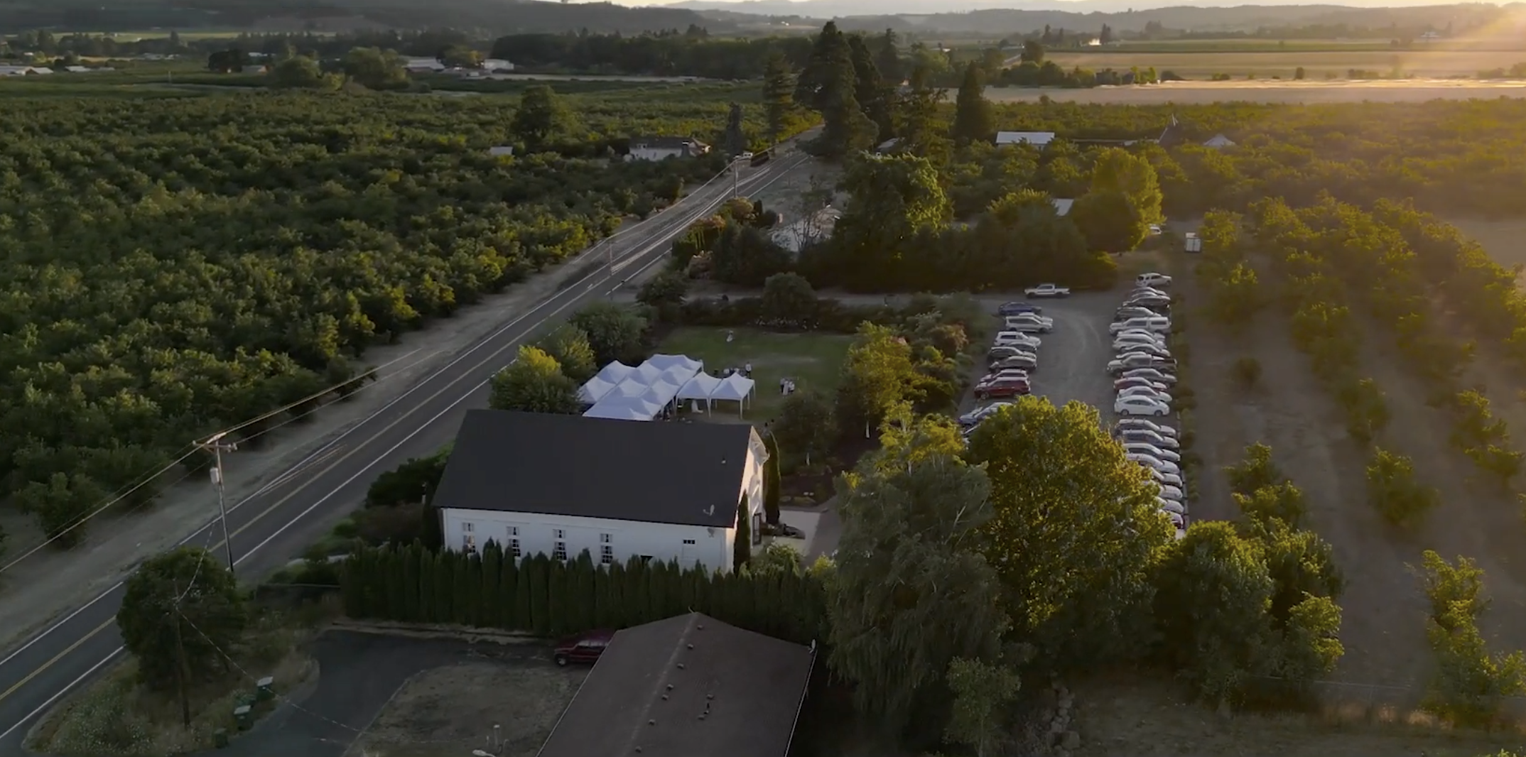 Vineyard Wedding Venue