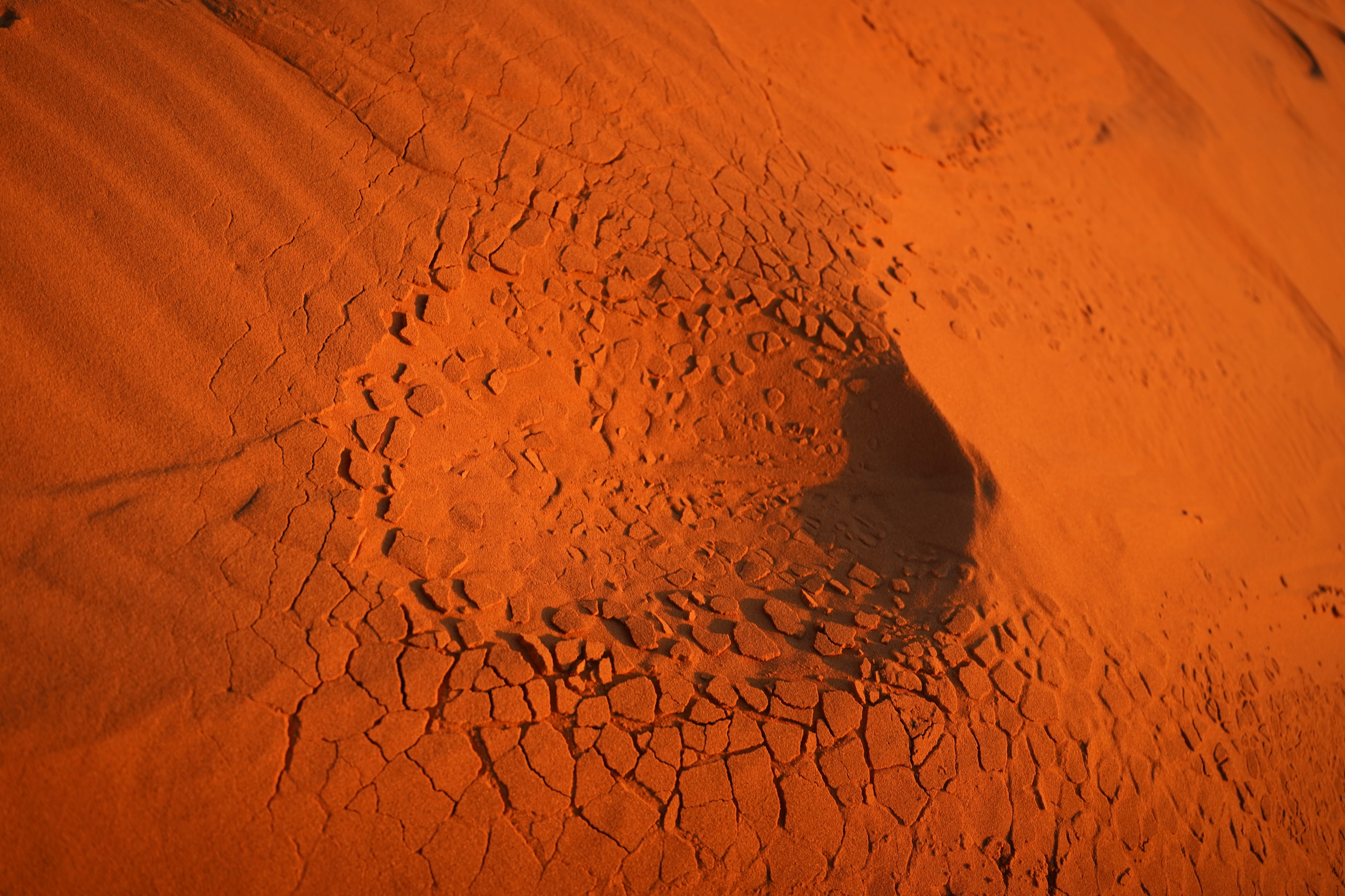 Bride and groom during golden hour in the Shenandoah Valley
